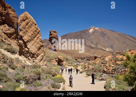 Spagna, Isole Canarie, Tenerife, Parco Nazionale del Teide, dichiarato Patrimonio dell'Umanità dall'UNESCO, Roques de Garcia, Cinchado Rock ai piedi del vulcano Tei Foto Stock