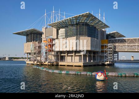 Portogallo, Lisbona, Parque das Nacoes (Parco delle Nazioni) costruito per l'Expo 98 o 1998 Lisbon World Exposition, Oceanario (Oceanario), progettato dallo studio di architettura Cambridge Seven Associates e dall'architetto americano Peter Chermayeff, Vasco la mascotte dell'Oceanarium Foto Stock