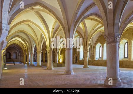 Portogallo, regione centrale, Alcoba, monastero di Santa Maria di Alcoba fondato nel XII secolo dal re Alfonso i, capolavoro dell'arte gotica cistercense e sito patrimonio dell'umanità dell'UNESCO, dormitorio Foto Stock