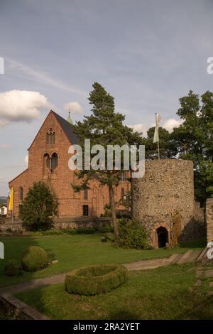 Rovina nel villaggio tedesco di Amoeneburg Foto Stock