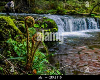 Una giovane coppia interrazziale si trova felicemente insieme su una spiaggia, il sole tramonta sullo sfondo e una cascata vicina che si getta su grandi rocce Foto Stock