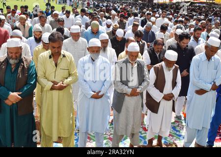 Srinagar, India. 29 giugno 2023. I musulmani del Kashmir offrono speciali preghiere Eid in una moschea in occasione dell'Eid-al-Adha (Bakra Eid). EID al-Adha è una festa religiosa celebrata dai musulmani in tutto il mondo per commemorare la volontà del profeta Ibrahim di sacrificare suo figlio come atto di obbedienza a Dio. Il 29 giugno 2023 a Srinagar, India. (Immagine di credito: © Umer Qadir/eyepix tramite ZUMA Press Wire) SOLO USO EDITORIALE! Non per USO commerciale! Foto Stock