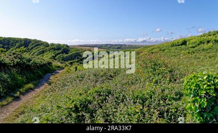 Dintorni di Dunraven Castle, Southerndown, Glamorgan Heritage Coast, vale of Glamorgan, South Wales, Regno Unito. 25 luglio 2023 Foto Stock