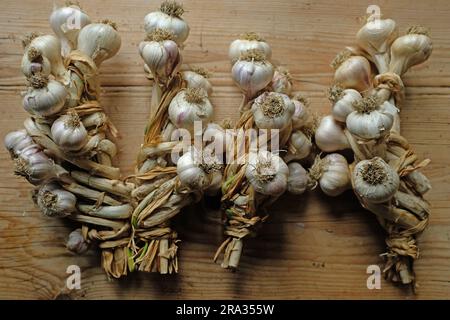 Aglio fatto in casa legato, intrecciato, su un tavolo da cucina. Foto Stock