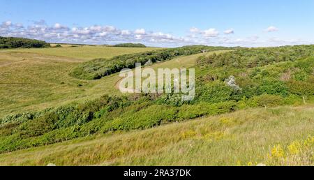 Dintorni di Dunraven Castle, Southerndown, Glamorgan Heritage Coast, vale of Glamorgan, South Wales, Regno Unito. 25 luglio 2023 Foto Stock