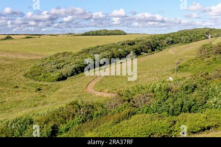 Dintorni di Dunraven Castle, Southerndown, Glamorgan Heritage Coast, vale of Glamorgan, South Wales, Regno Unito. 25 luglio 2023 Foto Stock