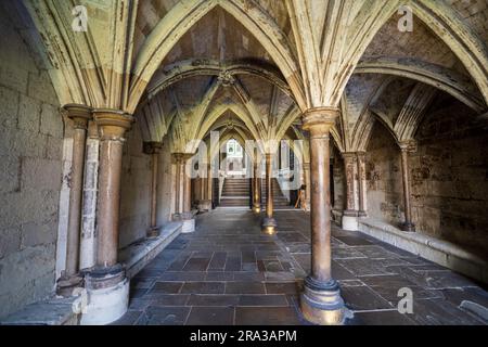 L'interno dell'Abbazia di Westminster, una chiesa storica e una delle principali attrazioni di Londra. Visita i chiostri, la cappella della Signora di Enrico VII e le tombe dei monarchi. Foto Stock