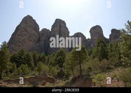 Paesaggio di montagna Foto Stock