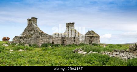 Rovine di un vecchio cottage di crofters sulle isole Orcadi, Scozia, Regno Unito. Foto Stock