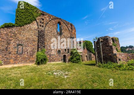 Rovine di Heiligkreuz vicino a Meissen. Il complesso del monastero fatiscente servì anche come motivo per i disegni di Caspar David Friedrich. Rovine del monastero di Santa Croce vicino a Meissen, Germania Foto Stock