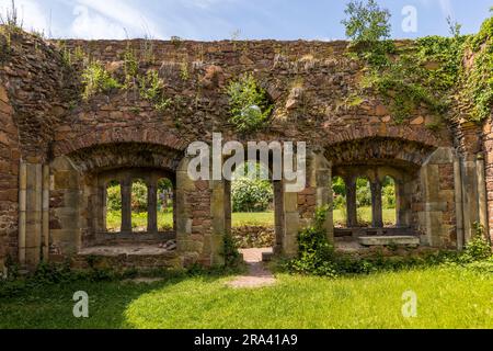 Rovine di Heiligkreuz vicino a Meissen. Il complesso del monastero fatiscente servì anche come motivo per i disegni di Caspar David Friedrich. Rovine del monastero di Santa Croce vicino a Meissen, Germania Foto Stock