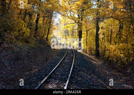 Linea ferroviaria nel bosco in autunno Foto Stock