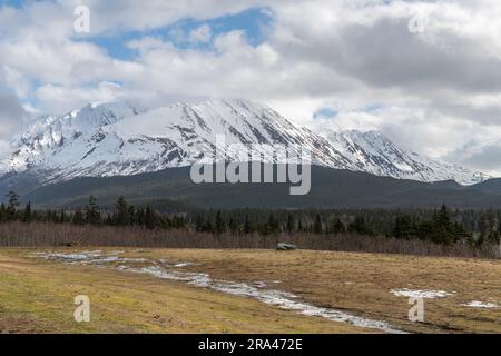 Paludi con montagne lontane viste dall'Alaska 9 Highway sulla penisola di Kenai. Foto Stock