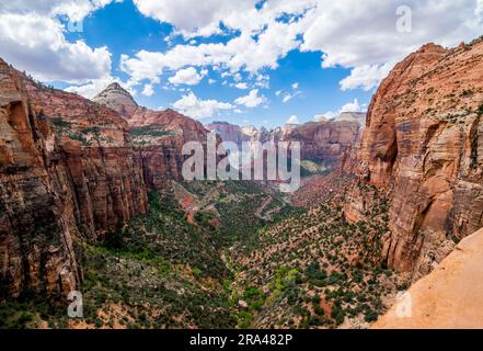 Vedute del Parco Nazionale di Zion dal Overlook Trail Foto Stock
