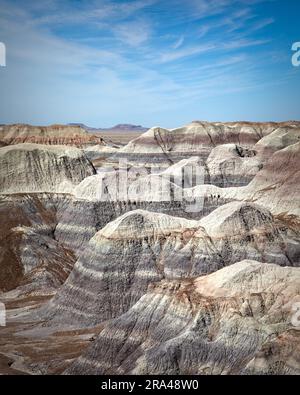 Blue Mesa, zona della Foresta Blu nel Parco Nazionale della Foresta di pietra, Arizona. Foto Stock