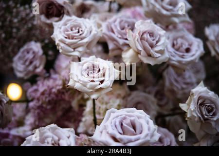 Bellissime composizioni di fiori arrossati per matrimoni con rose, candele e fiato del bambino in un lussureggiante evento con giardino botanico con scale e arco. Foto Stock