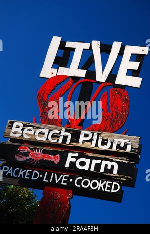 Un cartello di legno con le intemperie pubblicizza l'aragosta fresca a Ogunquit, Maine Foto Stock