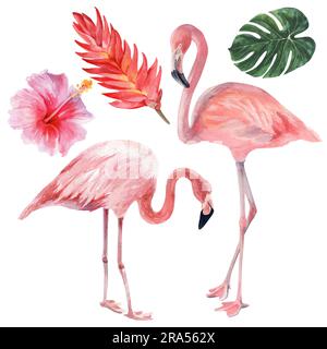 Illustrazione ad acquerello sul tema della natura tropicale e delle vacanze al mare. Fenicotteri e fiori esotici. Disegnare per il design di souvenir, cartoline Foto Stock