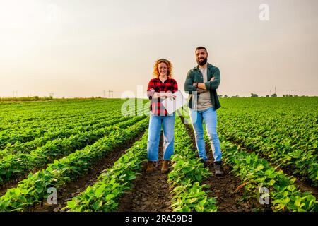 Occupazione agricola familiare. L'uomo e la donna coltivano la soia. Sono soddisfatti del buon progresso delle piante. Foto Stock