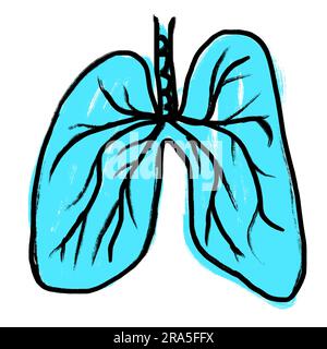 Illustrazione a mano di polmoni turchesi blu. Disegno di medicina medica schizzo, anatomia corpo organo, concetto di biologia respiratoria, scienza arte scientifica, isolato su bianco Foto Stock