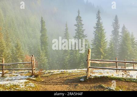 Antico faggeto sulla valle di montagna. Prima neve sulla foresta. Splendida vista mattutina di Carpazi, Ucraina, Europa. Bellezza della natura concetto backg Foto Stock