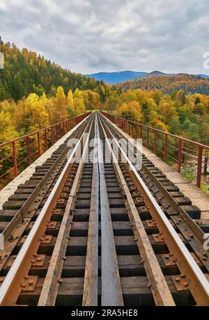 Vista sul ponte ferroviario sopra il fiume Prut. Autunno beauteful in Carpazi montagne, Yaremche, Ucraina Foto Stock