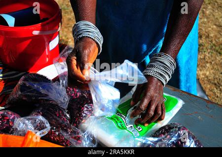 Agricoltori biologici nella provincia di Limpopo il giorno del mercato Foto Stock