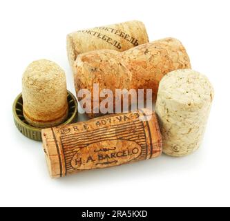 Gruppo di sugheri isolati su sfondo bianco Foto Stock