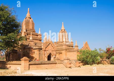 Nuovi templi, Bagan, Birmania, Pagan, Myanmar Foto Stock