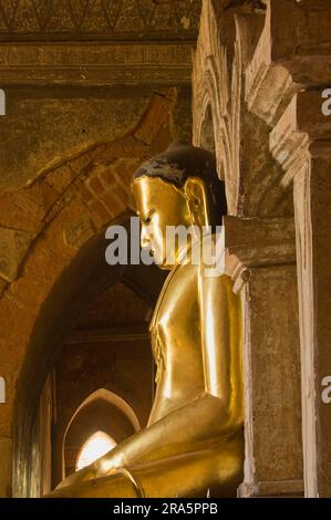 Statua del Buddha d'oro, tempio di Dhammayangyi, Bagan, Birmania, pagano, Myanmar Foto Stock