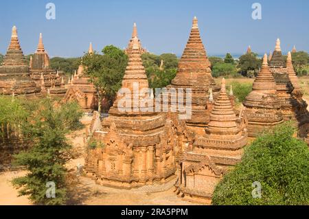 Bagan Pagodas, Birmania, Pagan, Myanmar Foto Stock