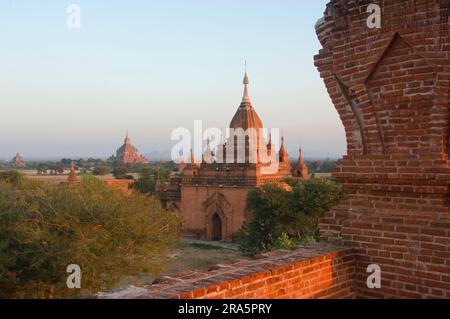 Pagode e templi di Bagan, Birmania, Pagan, Myanmar Foto Stock