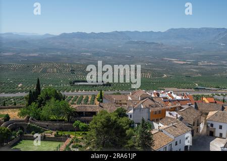 Vista aerea della valle di Guadalquivir, degli oliveti e delle montagne della Sierra Magina - Baeza, Jaen, Spagna Foto Stock