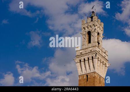 Torre del Municipio, Piazza del campo, Siena, Toscana, Palazzo pubblico, Palazzo Comunale, Italia Foto Stock