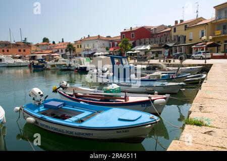 Barche da pesca nel porto, Novigrad, Istria Croazia Foto Stock