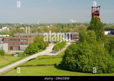 Ex Nordstern Colliery, Nordsternpark, Route of Industrial Heritage, Gelsenkirchen, Renania settentrionale-Vestfalia, Germania Foto Stock