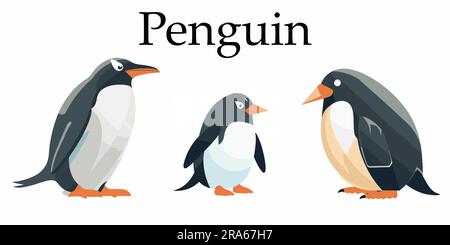 Una serie di illustrazioni vettoriali piatte dei pinguini Illustrazione Vettoriale