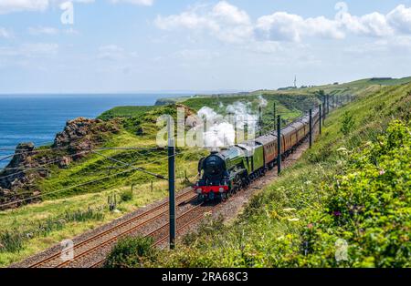 Il Flying Scotsman passa attraverso Lamberton nei confini scozzesi mentre si dirige verso Edimburgo. Il motore a vapore più famoso del mondo, 60103 Flying Scotsman, compie 100 anni quest'anno. Data foto: Sabato 1 luglio 2023. Foto Stock