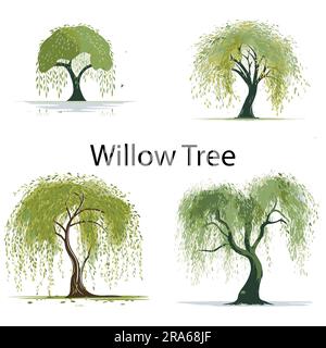 Una serie di illustrazioni del vettore dell'albero di salice piatto Illustrazione Vettoriale
