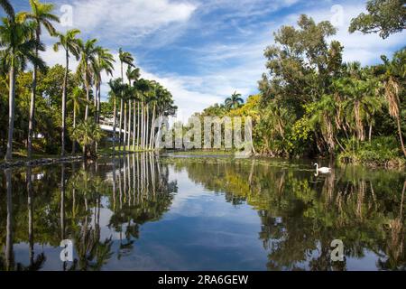 Fort Lauderdale, Florida, USA. Ammira la tranquilla Bonnet House Slough, un lago nei giardini della storica Bonnet House, nota anche come Bartlett Estate. Foto Stock