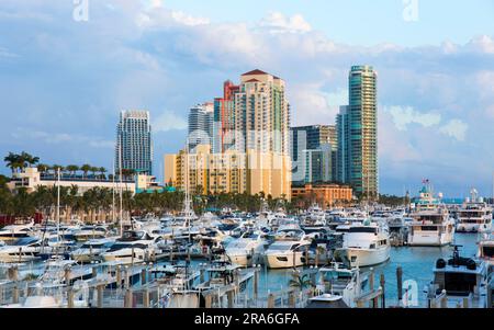 Miami Beach, Florida, USA. Vista sul porticciolo di Miami Beach verso alti condomini affacciati su South Pointe Park, South Beach. Foto Stock