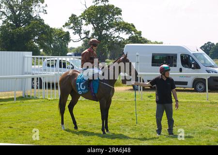 Jockey Ben Robinson su Travel Candy all'ippodromo di York. Foto Stock