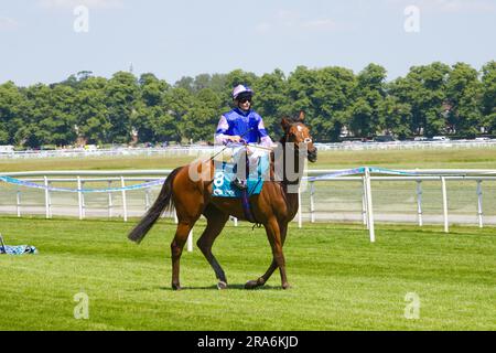 Jockey William Pyle su Showmedemoney all'ippodromo di York. Foto Stock