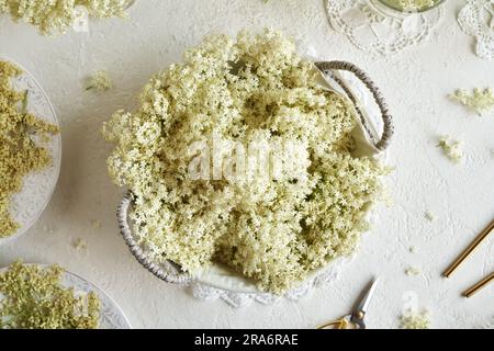 Fiori di sambuco freschi e secchi su un tavolo bianco, vista dall'alto Foto Stock