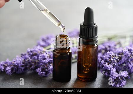 Versare l'olio essenziale di aromaterapia in una bottiglia di vetro scuro, con fiori di lavanda freschi sullo sfondo Foto Stock