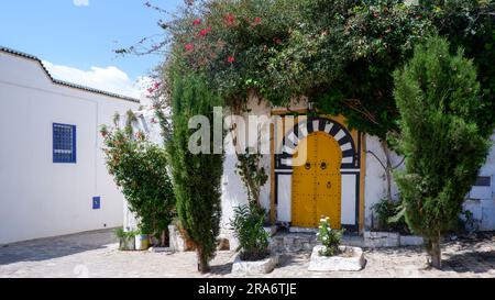 Porte colorate per le strade della Tunisia, vecchie porte gialle, belle strade tunisine bianche, finestre e porte blu, visite turistiche in Tunisia Foto Stock