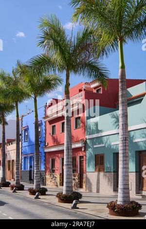 Fascino costiero a Puerto de la Cruz de Tenerife, una delle Isole Canarie della Spagna. Foto Stock