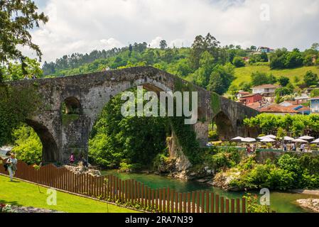 Vista del ponte romano a Cangas De Onis Foto Stock