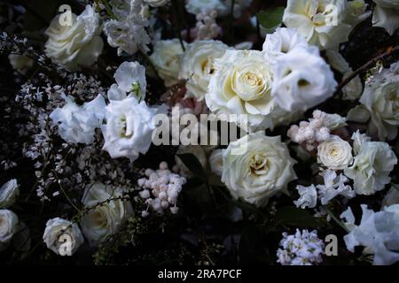 Giardino botanico di fiori per un magico matrimonio invernale. Foto Stock