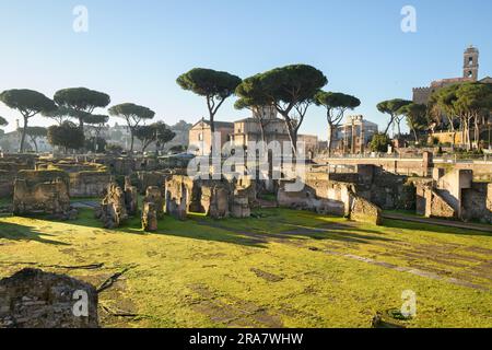 Rovine del foro Romano a Roma, Italia. Foto Stock